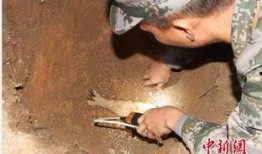 海南工地爆料案件最新情况,真相逐步浮出水面